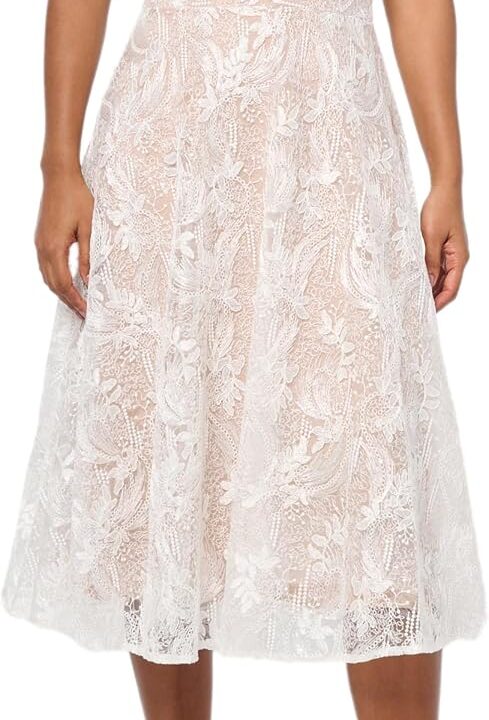 Dress the Population Womens Elisa Sleeveless Plunge Neckline Fit and Flare Midi Dress